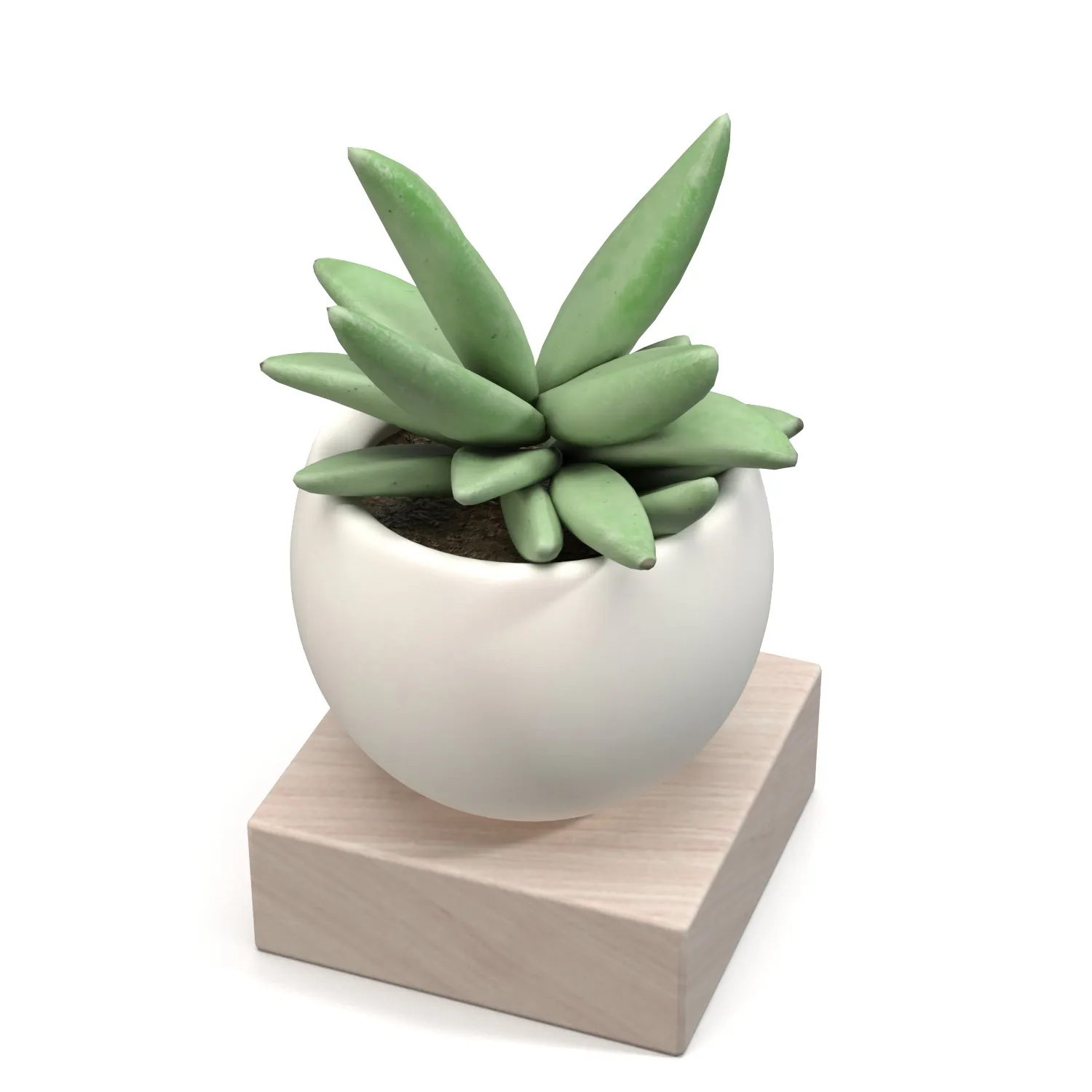 Mini Decorative Fake Succulent Artificial Plants PBR 3D Model_04